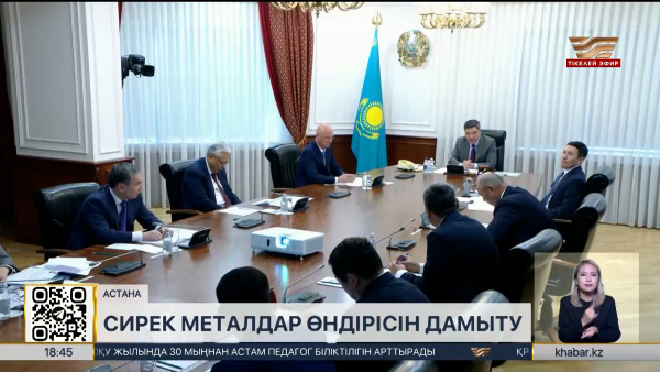 Үкімет сирек металдар саласын дамыту бойынша кеңес өткізді