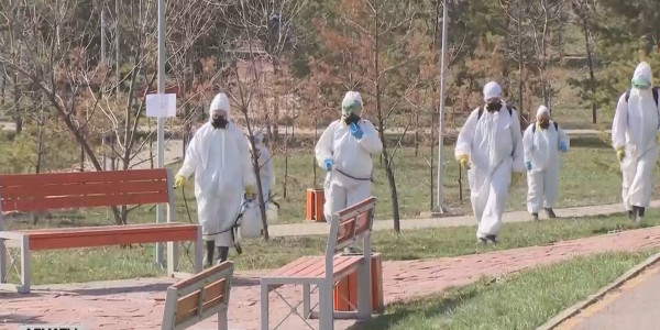 Алматыда кенеге қарсы улау жұмыстары басталды