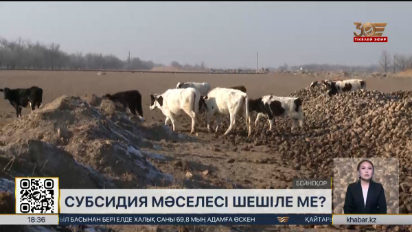 Субсидия мәселесі шешіле ме?