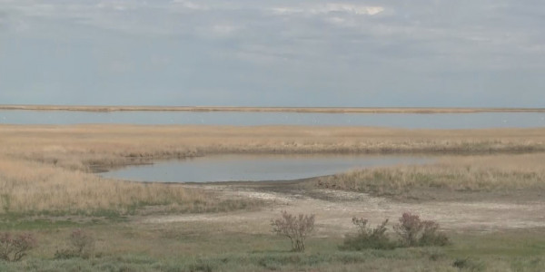 Торғай өңіріндегі көлдер кеуіп барады