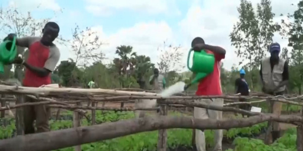 Казахстанским опытом соцподдержки заинтересовались в Африке