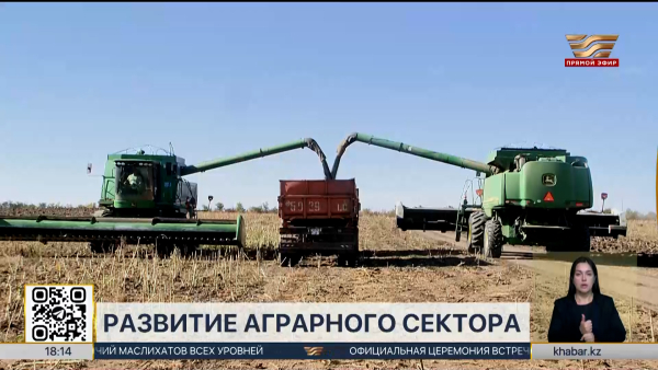 Экспорт сельхозпродукции Казахстана превысил $7 млрд
