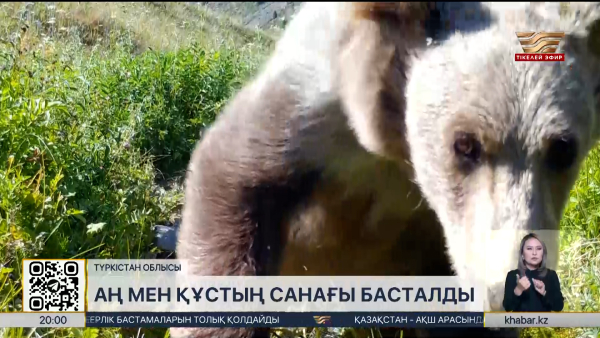 Ақсу-Жабағылы қорығында аң мен құсқа күзгі санақ басталды