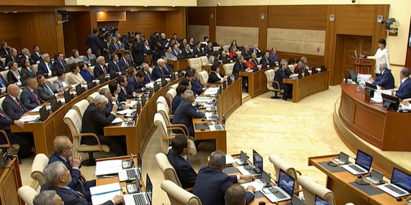 Мажилис принял в работу 17 законопроектов