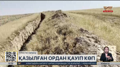 Түркістан облысында қазылған орға түскен жәндіктер қырылып жатыр