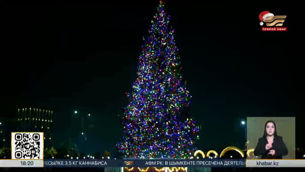 В Шымкенте зажгли огни главной новогодней ёлки