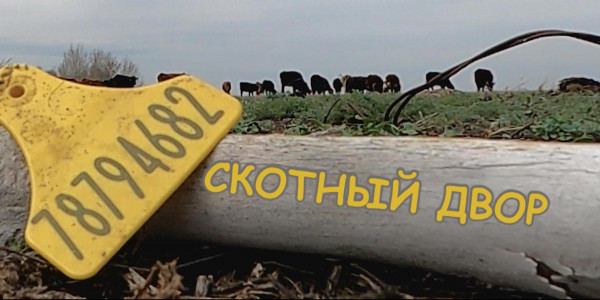 СКОТНЫЙ ДВОР. &laquo;Отдел журналистских расследований&raquo;