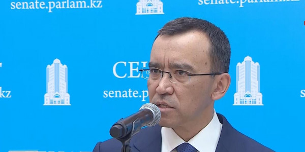 М.Әшімбаев: Қытаймен арадағы визасыз режимді халыққа дұрыс түсіндіру керек