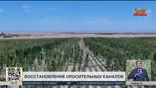 В Жамбылской области восстановили оросительные каналы