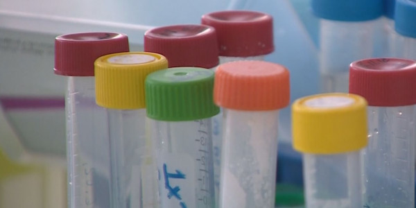 Казахстанская вакцина от коронавируса готова к испытаниям на добровольцах