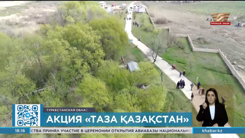 28 тысяч саженцев высадили в Туркестанской области в рамках экоакции «Таза Қазақстан»