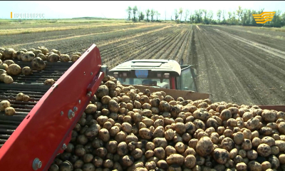 &laquo;Продвопрос&raquo;. Итоги года МСХ, Агросаммит, Итоги КазАгро, Выбор продуктов к новогоднему столу