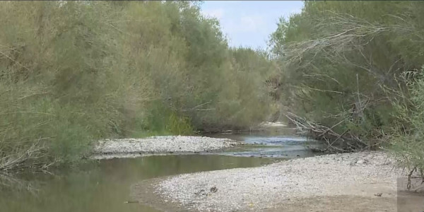 Резким обмелением рек обеспокоены фермеры Карагандинской области