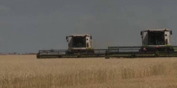 Уборочная кампания продолжается в Костанайской области