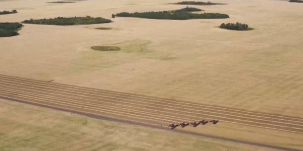 1,6 млн тонн нереализованного запаса зерна посчитали в Казахстана