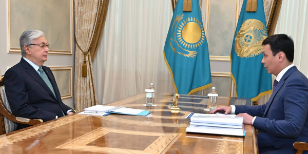 Глава государства принял председателя Агентства по противодействию коррупции