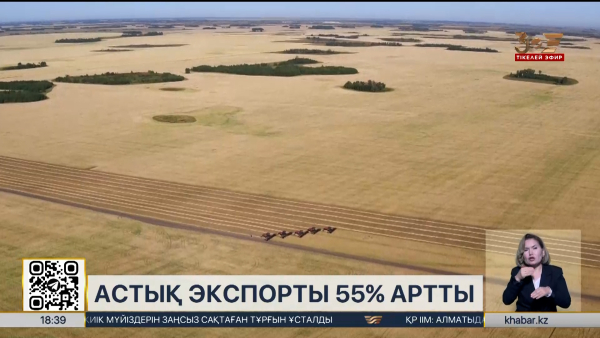 Астық экспорты 55% артты