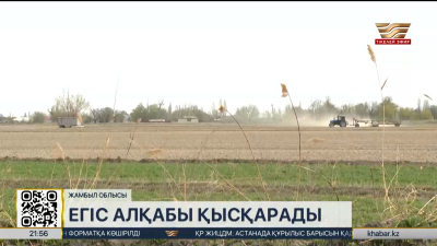 Жамбыл облысында егіс алқабы қысқарады