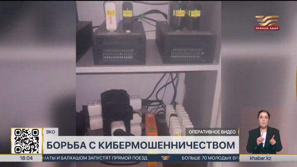 Сеть кибермошенников ликвидирована в ВКО