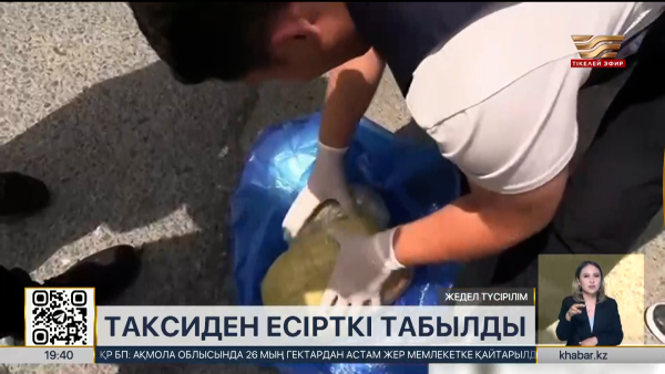 Жамбыл облысында такси жүргізушісінен есірткі тәркіленді