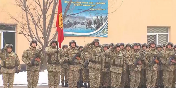 Сенаторы одобрили создание совместных следственно-оперативных групп