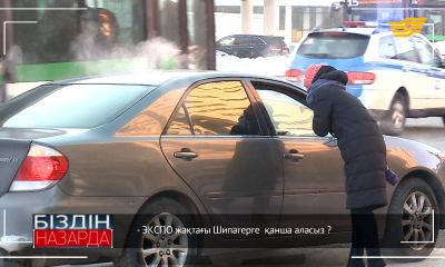 «Біздің назарда». Аяздың салдары