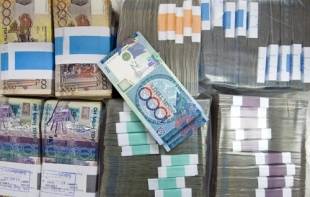 Лжепредприниматели задержаны в Акмолинской области