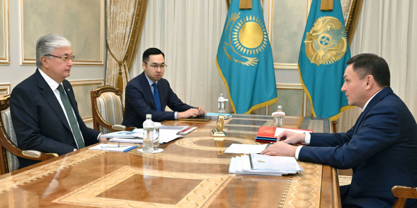 Глава государства принял министра туризма и спорта Ермека Маржикпаева