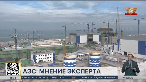 АЭС избавит страну от дорогого импорта электроэнергии &ndash; мнение эксперта