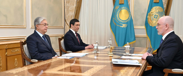 Касым-Жомарт Токаев принял председателя Высшего судебного совета Дениса Шиппа