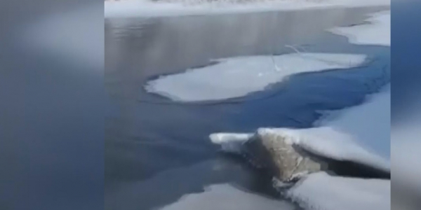 Нұра өзенін ластағандар жауапқа тартылады