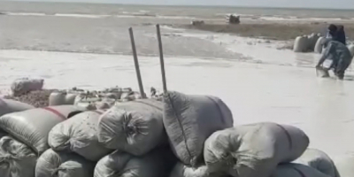 В районе г.Аксу наблюдаются случаи нелегальной деятельности старателей