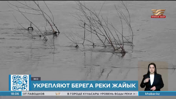 Берега реки Жайык укрепляют в ЗКО