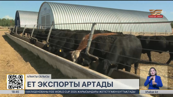 Елімізде ет экспорты артады