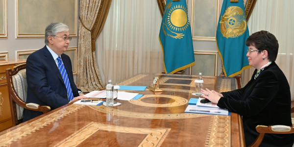 Глава государства принял председателя Счетного комитета Наталью Годунову