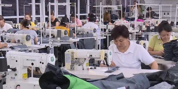 Новый законопроект в рамках регулирования МСБ поступит в Мажилис