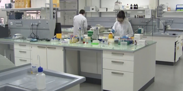 Ученые всего мира работают над созданием антивируса COVID-19