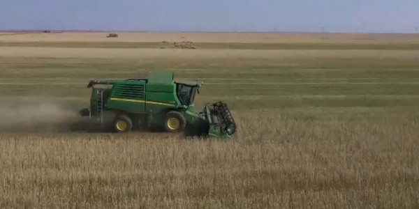 15 тамыздан бастап шет елге жем-шөп сатуға уақытша тыйым салынады