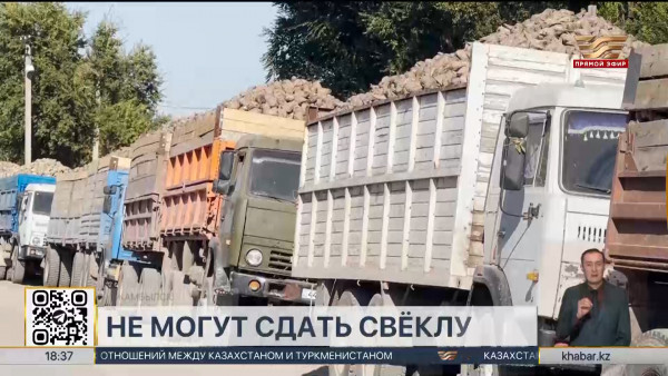 Аграрии рискуют потерять собранный урожай сахарной свёклы в Жамбылской области