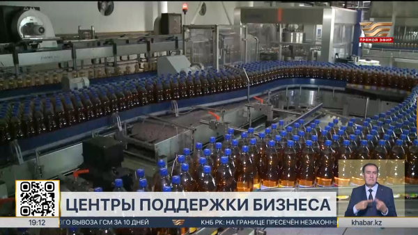 Центры поддержки и сопровождения бизнеса откроются в пяти регионах