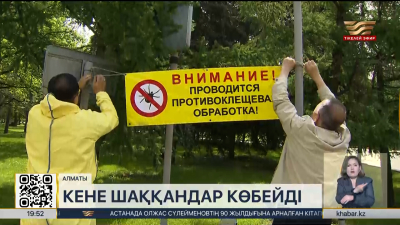 Алматыда кене шаққандар саны күрт артты