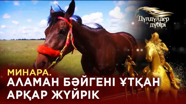 Минара. Аламан бәйгені ұтқан арқар жүйрік. &laquo;Дүлдүлдер дүбірі&raquo;