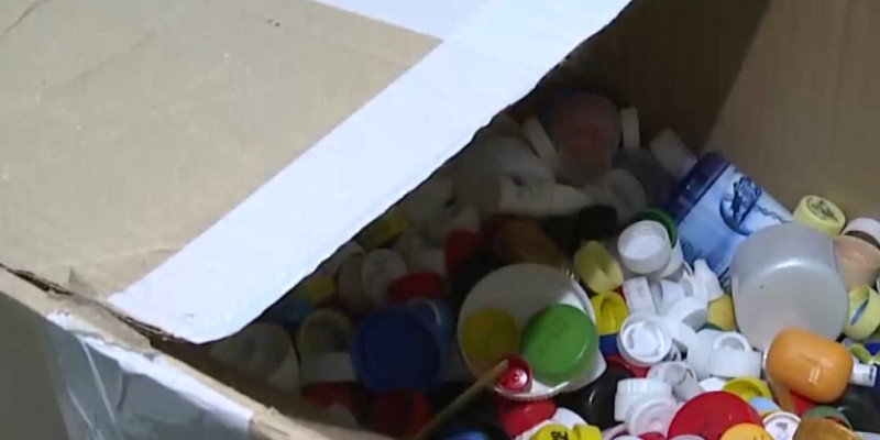 На вырученные от сбора пластиковых крышек средства помогают бездомным животным в Караганде