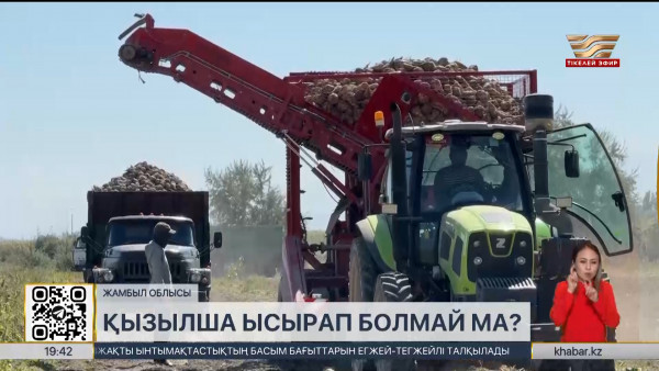 Жамбыл облысының диқандары өнімдерін өткізе алмай жүр
