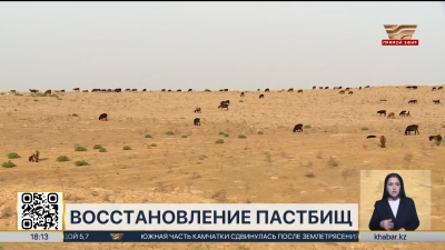 Деградация земель: как планируют восстанавливать пастбища в Казахстане?