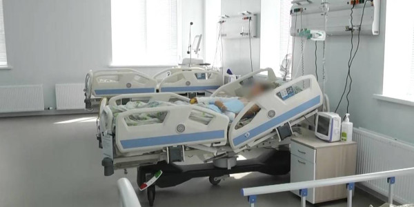 После укуса змеи девочка попала в реанимацию в Костанайской области