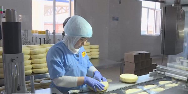 Түркістан облысында 3,5 мыңға жуық адамға жаңа жұмыс орны ашылады