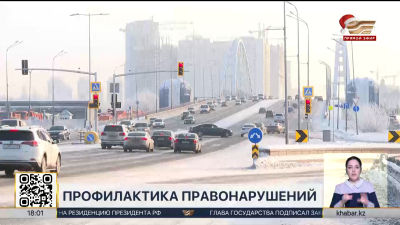 Глава государства подписал ряд законов