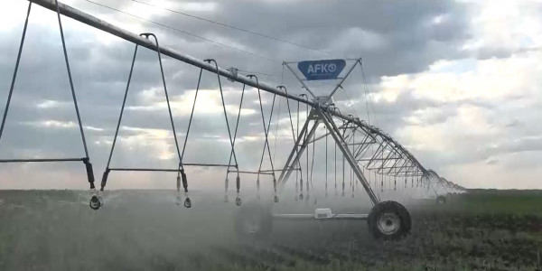 25 овощехранилищ планируют построить в ЗКО в ближайшие 3 года