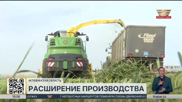 Молочно-товарную ферму на 800 голов КРС строят в Актюбинской области